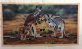 WILDLIFE ART 3 – PANEL – KANGAROO DV3185 N105
